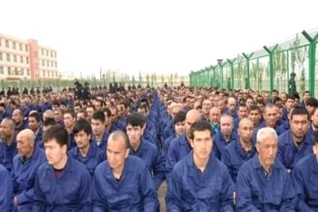 37 more Chinese firms' imports banned by US over Uyghur forced labor