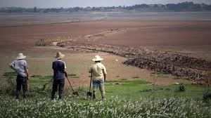 Agriculture, food security, water resources, and human health in China under risk due to prolonged heatwaves; Government polices responsible